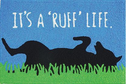 Picture of Ruff Life