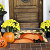 Picture of Autumn Watch Jellybean® Accent Rug